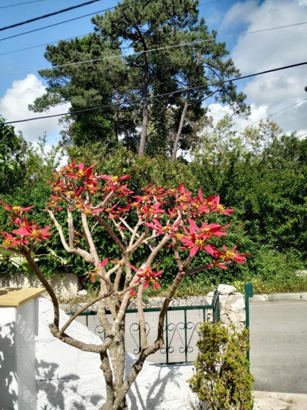 Casa De Campo Em Σεσίμπρα Εξωτερικό φωτογραφία